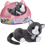 ZAPF Creation BABY born&reg; My Kitten Cookie with Box, Doll Accessories 43 cm