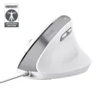 Hiir Trust Bayo II Office, parempoolne, USB Type-A, optiline, 2400 DPI