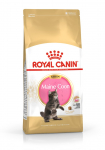 ROYAL CANIN Maine Coon Kitten - kuiv kassitoit - 4 kg