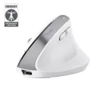 Trust Bayo+ hiir Office paremak&auml;eline RF juhtmevaba + Bluetooth optiline 2400 DPI