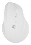 NATEC Crake 2 hiir universaalne paremak&auml;eline RF juhtmevaba + Bluetooth optiline 2400 DPI
