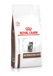 ROYAL CANIN kassidele m&otilde;eldud kuivtoit seedetraktist kassipojale VHN 400g