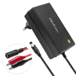 Charger for AGM GEL STD 12V 2A 24W 5.5x2.1
