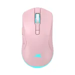 Baracuda TURTLE BGM-124 Pink