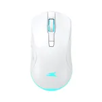 Baracuda TURTLE BGM-122, White
