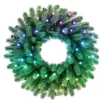 S&auml;delev eelvalgustusega p&auml;rg 50 RGB LED-i, roheline juhe, pistik C
