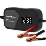 Microprocessor charger 12V 2A with cell regene