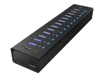 ICY BOX IB-AC6113 13x pordiga USB 3.0 jaotur