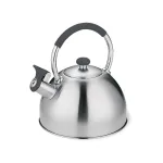 Kettle MAESTRO MR-1323 stainless steel 2.5 l