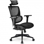 Sharkoon office chair OfficePal C40 (black)