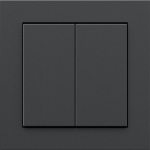 Senic Friends of Hue Smart Switch, switch (black (matt))