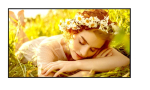 Monitor 65UL5Q-M 500cd/m2 UHD 24/7