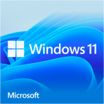 Microsoft Windows 11 Home (64-bit, French, DVD-ROM)
