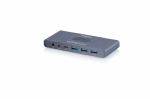 KVM switch, 2-port DS-12855