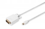Cable DisplayPort 1.1a mini DP-DVI tyPA MM 2.0m