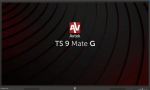 Monitor TS 9 MATE G 65