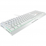 XTRFY MX 3.1 (white/silver, DE layout, Cherry MX2A Brown)
