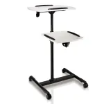 Projector stand with two shelves