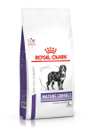 Royal Canin MATURE CONSULT LARGE DOG toit suurtele koertele 14 kg