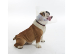 BUSTER BRAHICEF kaitsekrae L 20 cm