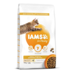 IAMS CAT ADULT HAIRBALL kuiv kassitoit 10 kg