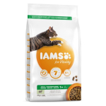 IAMS CAT ADULT LAMB kuiv kassitoit 10 kg