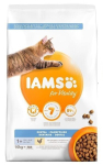 IAMS CAT ADULT DENTAL With Chicken kuiv kassitoit 10 kg