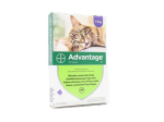 ADVANTAGE 80 mg 10% lahus 0,8 ml &uuml;le 4 kg kaaluvatele kassidele N4