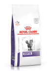 Royal Canin DENTAL CAT toit kasside suu&otilde;&otilde;ne h&uuml;gieeni toetuseks 1,5 kg
