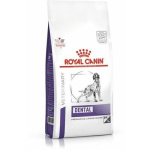 Royal Canin DENTAL koeratoit 6 kg