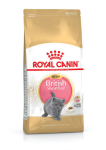 Royal Canin Kitten British Shorthair kassipoegade toit, 400 g