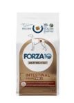 Forza10 Active VetDiet Intestinal Colon 2. faas koertele kalaga, 4 kg