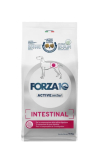 Forza10 Active VetDiet Intestinal koertele 10 kg