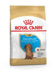 Royal Canin Dachshund Puppy 1,5 kg taksikutsikatele