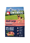 ONTARIO Adult Large Beef and Rice, 2,25 kg