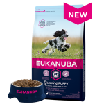 Eukanuba Puppy & Junior Medium Breed Chicken kuivtoit keskmist t&otilde;ugu kutsikatele 3 kg