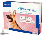 EFFIPRO DUO koertele (20&ndash;40 kg) 268/40 mg N4, k&otilde;lblik kuni 31.03.2027