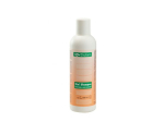 DF 2 IN 1 &scaron;ampoon 250 ml