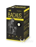 BACHUS Immunity&Resistance tabletid N60