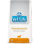 VET LIFE KOERTE CONVALESCENCE 2KG