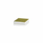 Salongifilter MANN-FILTER FP 28 009