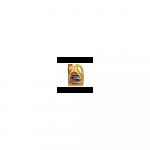 Mootori&otilde;li ORLEN PLATINUM MAX EXPERT V+ 5W30 4L. 5w-30