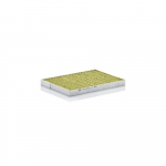 Salongifilter MANN-FILTER FP 2620