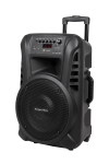 Aktiivk&otilde;lar 2 juhtmeta UHF-mikrofoniga, SD, Bluetooth, FM, USB, 40 W