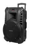 Aktiivk&otilde;lar 2 juhtmeta UHF-mikrofoniga, SD, Bluetooth, FM, USB, 60 W