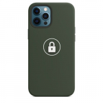 Dėklas "Silicone Case v2" skirtas iPhone 12 Pro Max / Cyprus Green / su įpakavimu