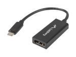 LANBERG AD-UC-DP-01 adapter USB TYPE-C