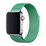 Magnetiline rihm Apple Watch 45mm Magnetiline rihm Apple Watchi k&auml;ev&otilde;ru - Mint