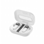 WEKOME VA06 Vanguard Series Bluetooth 5.2 TWS juhtmevabad k&otilde;rvaklapid laadimiskarbiga, valged