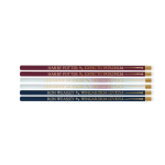 Harry Potter Wands pliiatsikomplekt, 6 tk